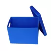 Plastic Corrugated Box