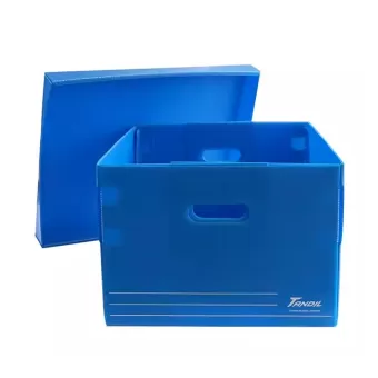 Plastic Corrugated Box