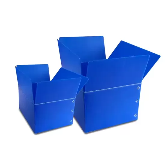 Plastic Corrugated Box